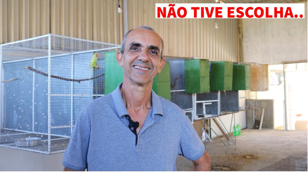 VOU TER QUE JOGAR OS OVOS DO RING NECK FORA #DICA13