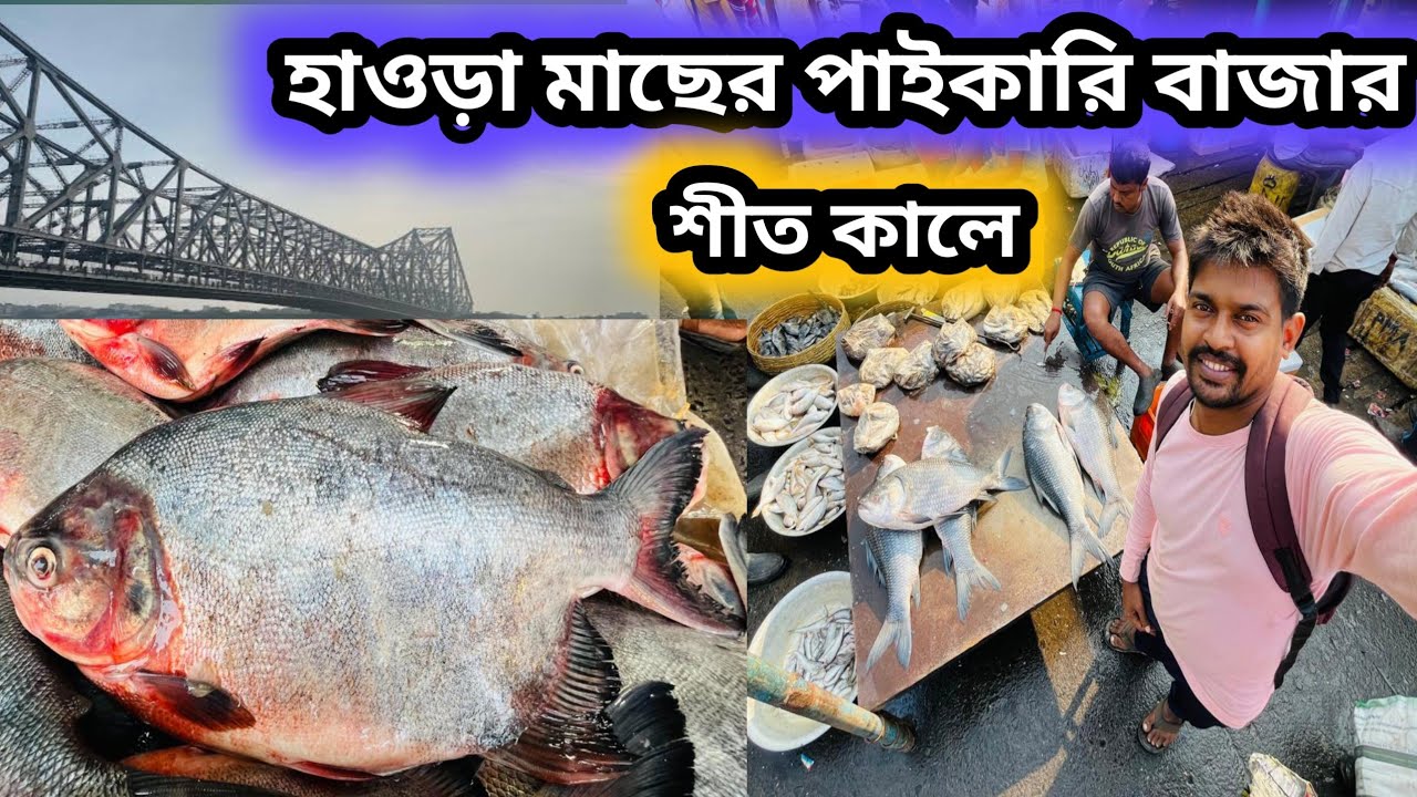 হাওড়া মাছের পাইকারি বাজারে এলাম || howrah wholesale fish market #fishmarket 