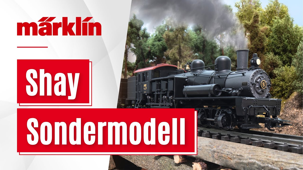 Dampflok Shay Sondermodell in Spur H0