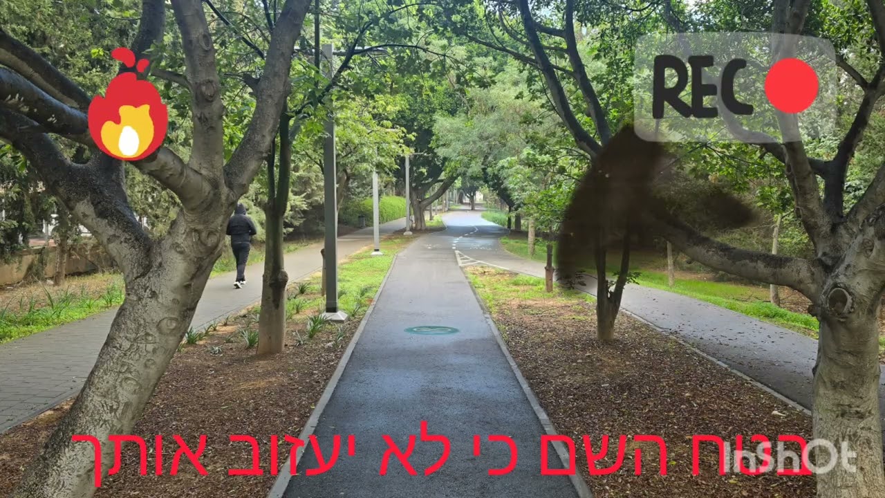 עצות רבי נתן ורבינו הקדוש 