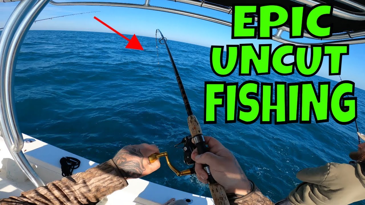 UNCUT FISHING!!! 20 Miles offshore with GRUNT CHUNKS