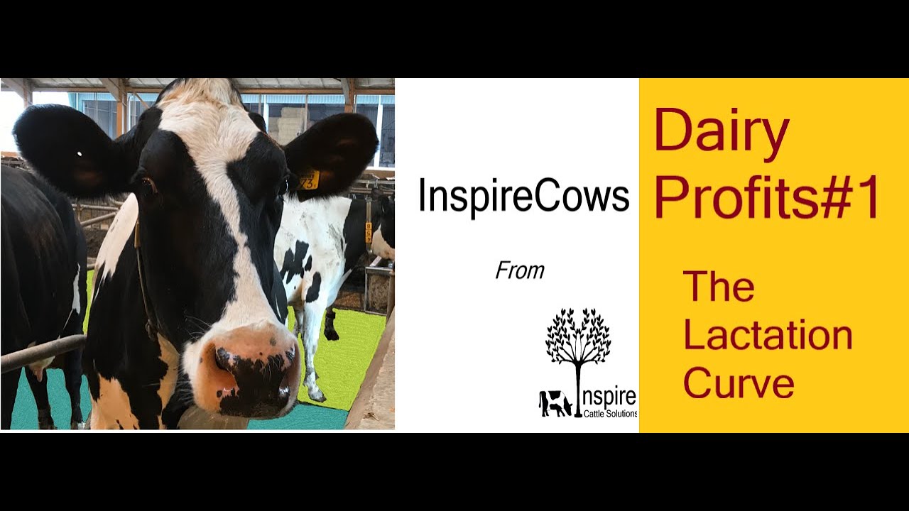 Dairy Profits #1 - The Lactation Curve