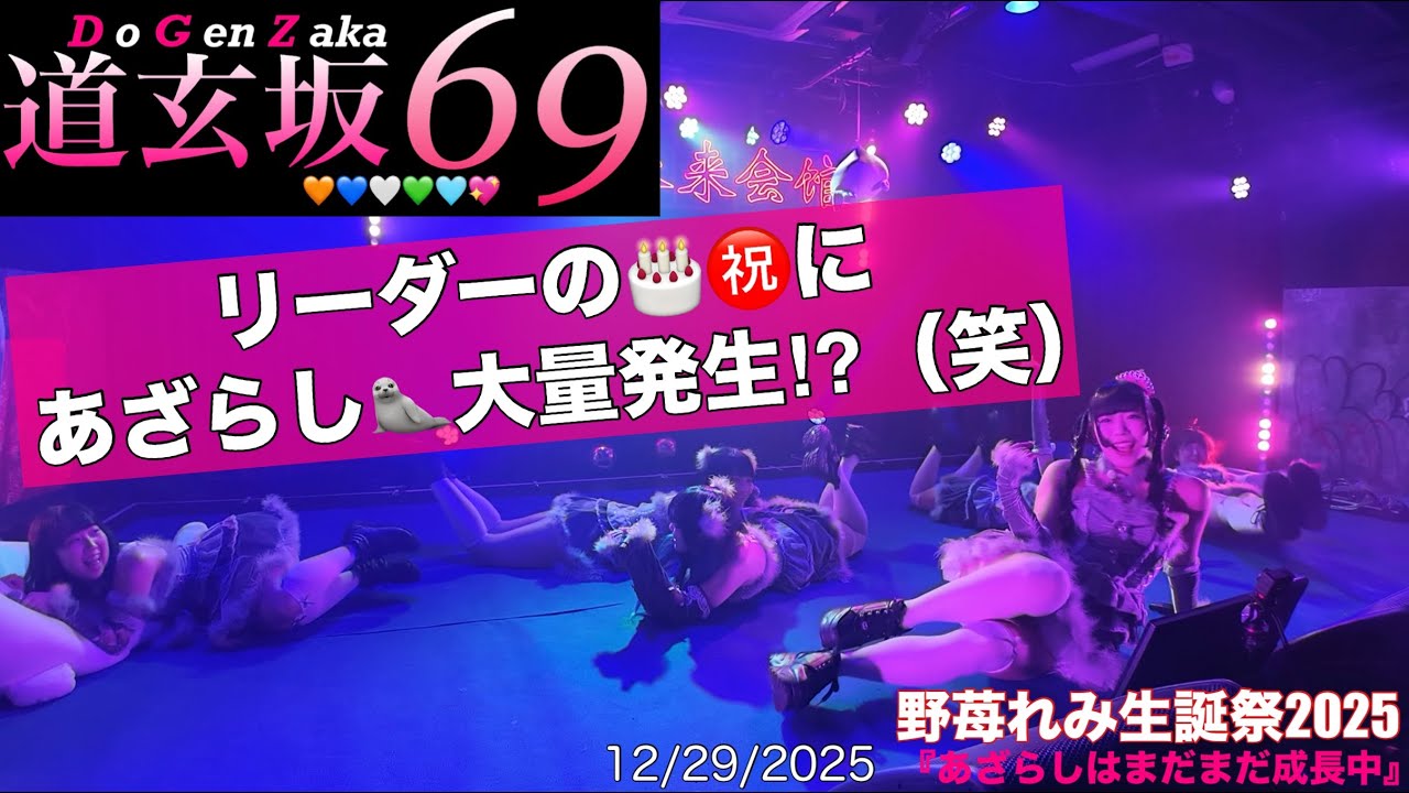 20251229【#道玄坂69 野苺れみ生誕祭 ①】#DGZ69 #DoGenZaka69