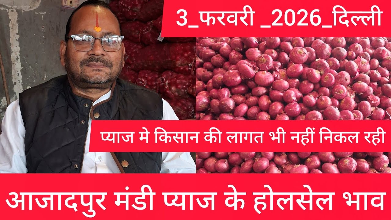 February 3, 2026 दिल्ली 🧅प्याज के होलसेल भाव azadpur delhi mandi onion market price #onionmarket