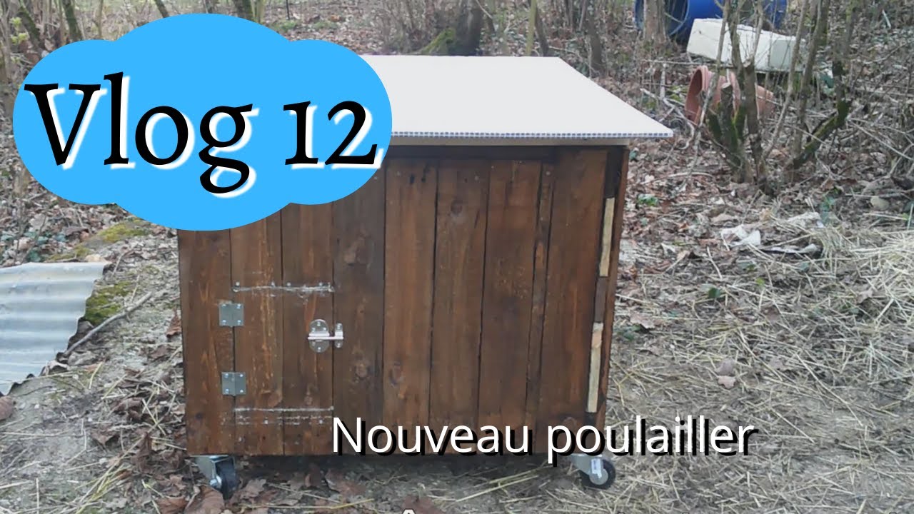 Vlog 12 : On démarre la couveuse, fabrication du poulailler en palette