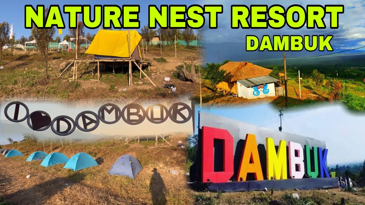 NATURE NEST RESORT DAMBUK ARUNACHAL PRADESH || BEST RESORT AT THE TOP OF MOUNTAINS🏔️DRONE VIEW #fyp