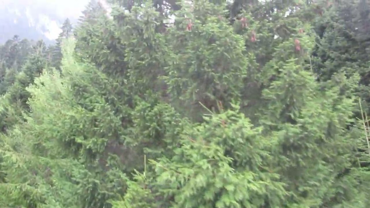 Chair lift drive on cloudy weather through the Bucegi Mountains - august 2022
