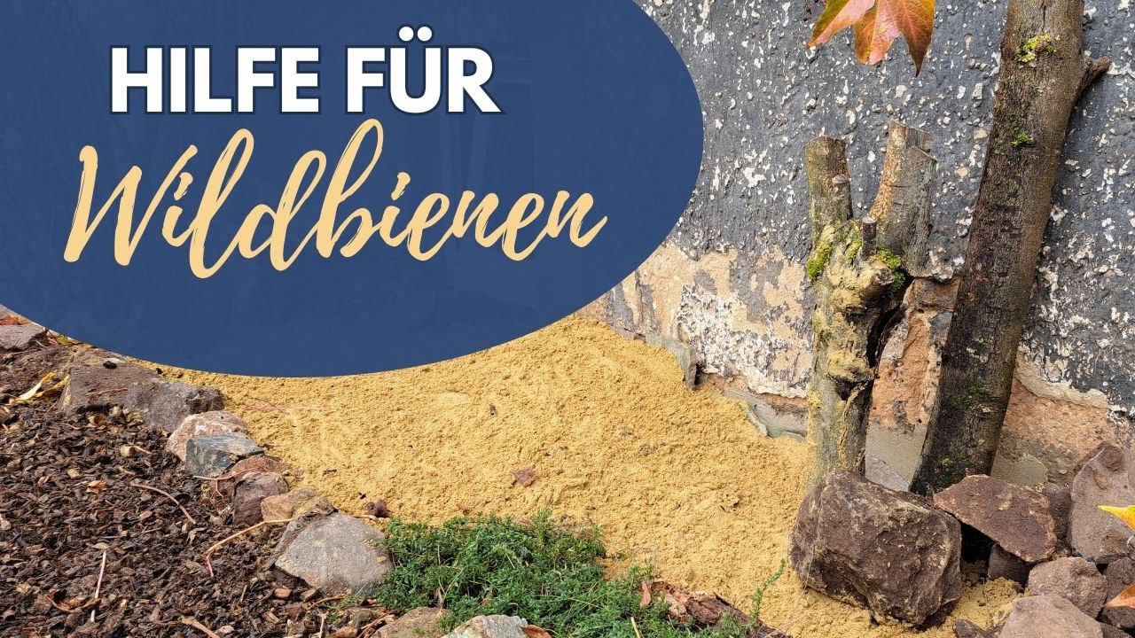 Wildbienen im Garten fördern