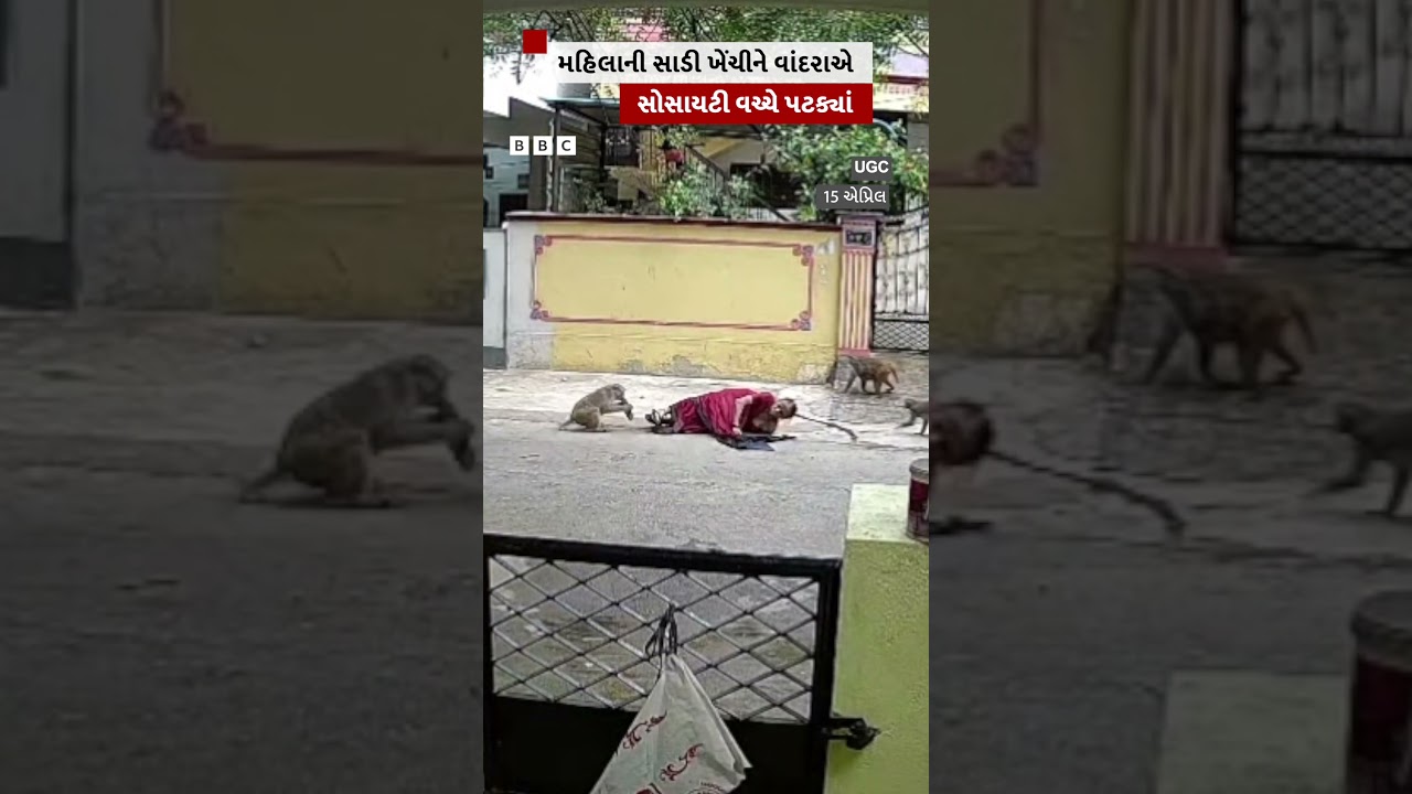 Monkey pulls woman's saree and hits her in the middle of society