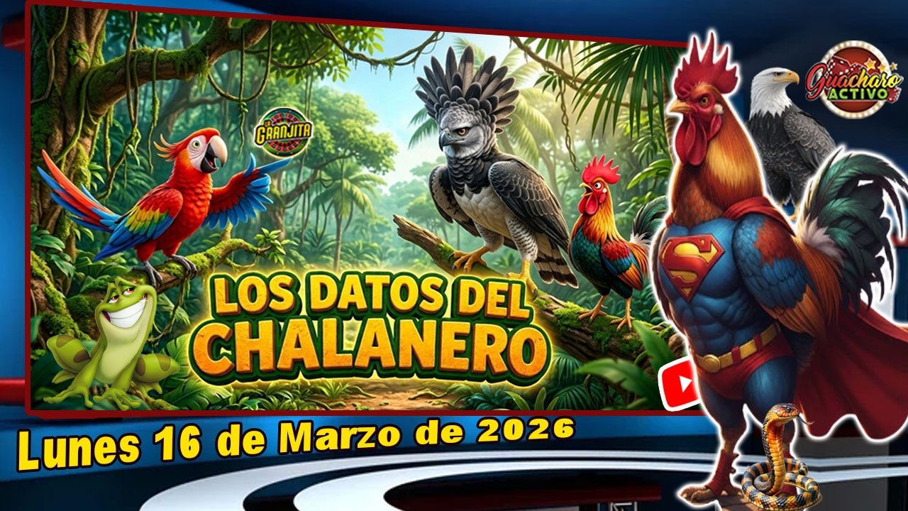 🎯 DATOS DEL CHALANERO &ndash; PARA LA GRANJITA Y LOTTO ACTIVO &ndash; LUNES 16 MARZO 2026🎯