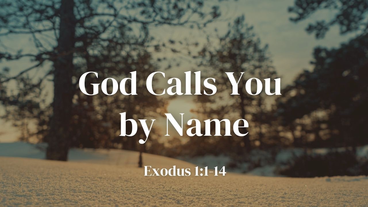 [Feb 22, 2026] Port Moody Pacific Grace MB Church English Service