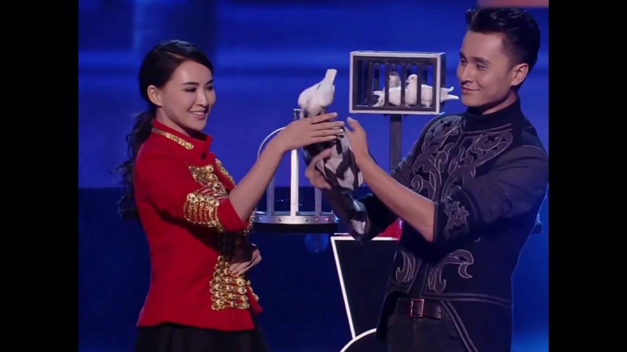 Dove magic| CCTV English