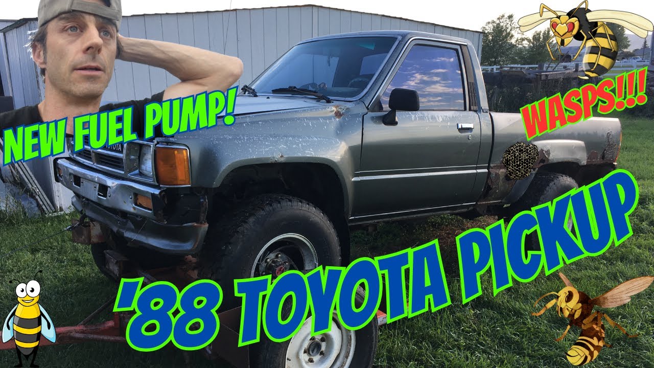 Rescuing a Rusty 1988 Toyota Pickup: Fuel Pump Swap & Wasp Battle!