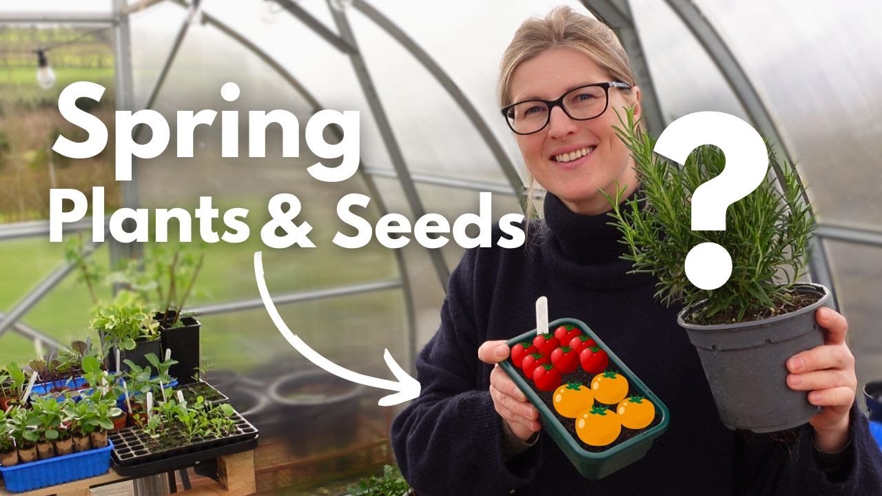 Greenhouse Progress | Sowing Tomatoes for 2025 & Garden Centre Finds | Spring Gardening Irish Garden