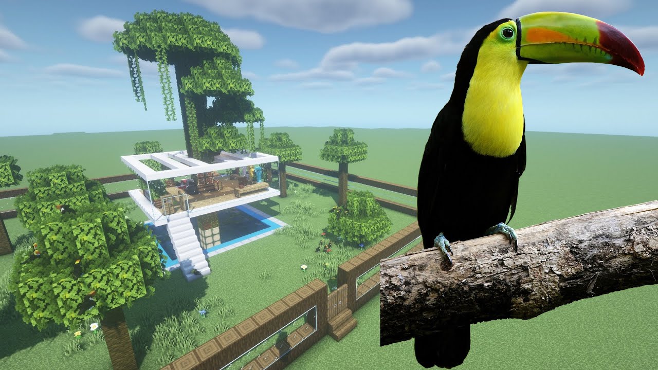 How To Make a Toucan Farm in Minecraft PE