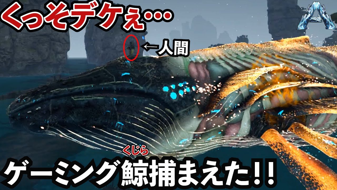 【ARK】5時間かけて超デッカいゲーミング鯨捕まえたぞ！！#56【アストロセタス・宇宙クジラ】