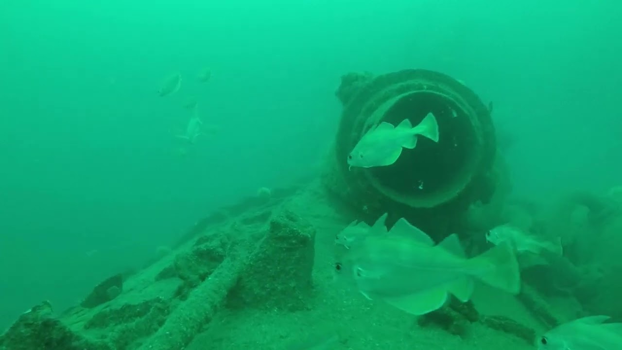 09/08/2021: le U171 avec une super visi, Groix