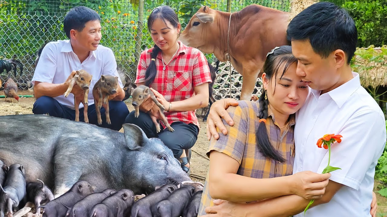 An Makes Delicious & Crispy Corn Pancakes for Family – Taking Care of Newborn Piglets with Husband