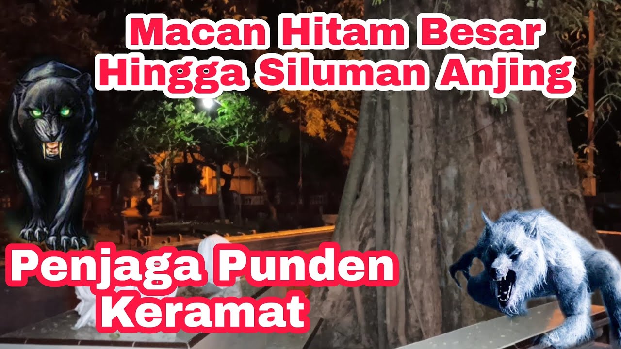 Sosok Macan Hitam Besar Hingga Siluman Anjing Inilah Misteri Punden Keramat Kangkungan Mojokerto