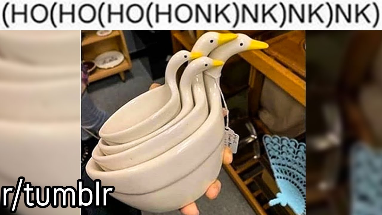 r/tumblr | HONK HONK HONK