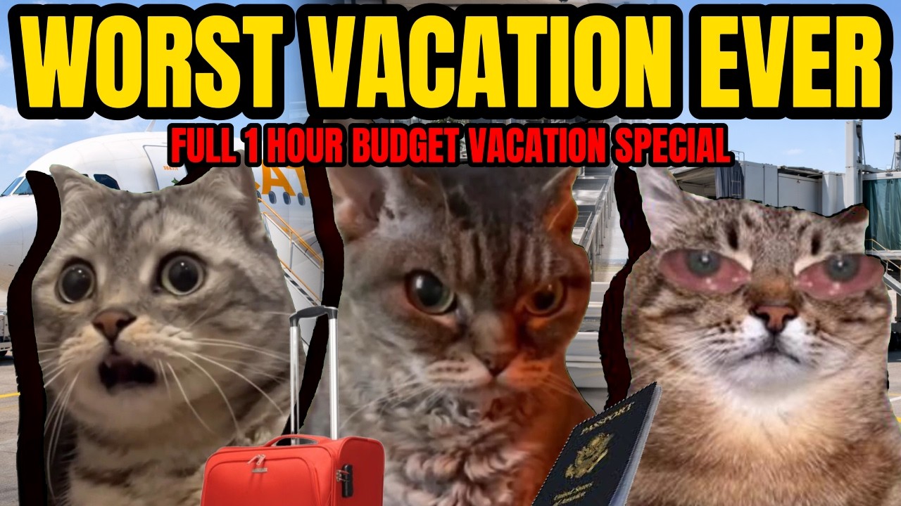 CAT MEMES: THE WORST VACATION EXPERIENCE FULL 1 HOUR COMPILATION