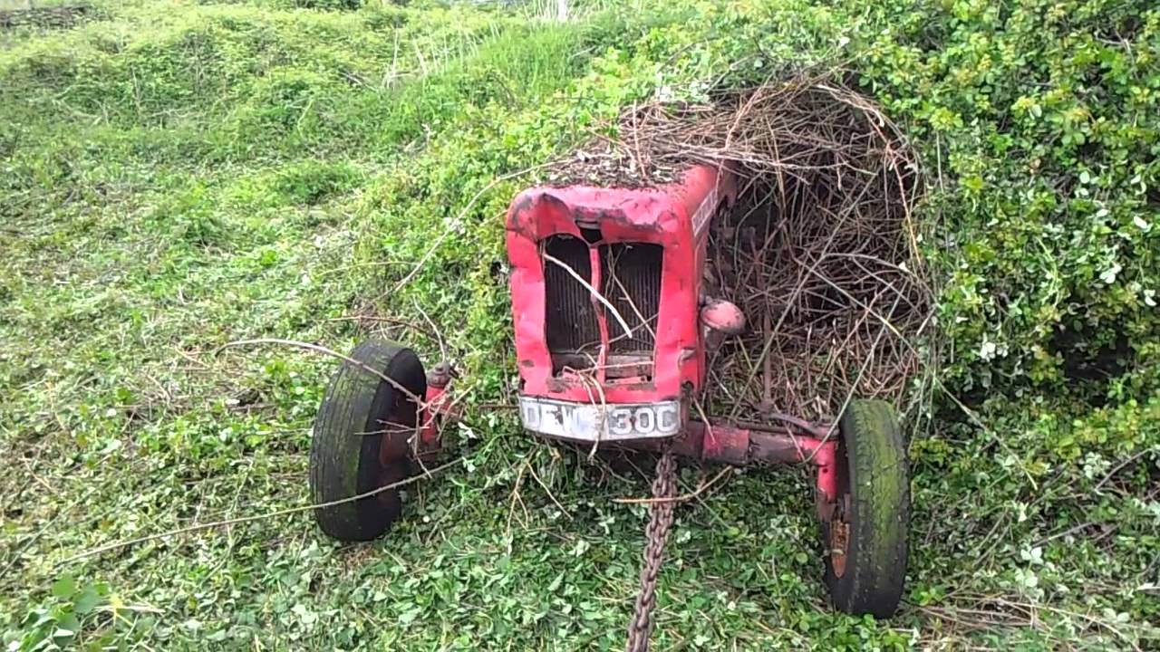 David Brown 990 emerges from the brambles Part 1