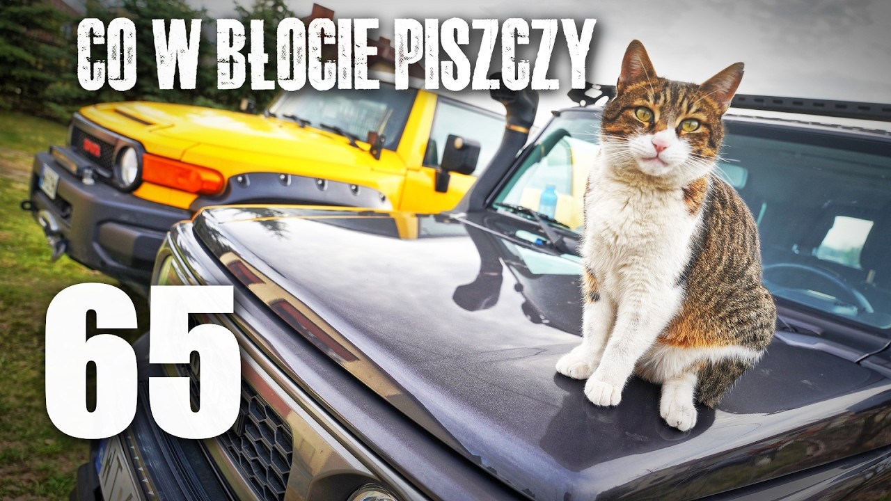 Co w błocie piszczy 65 Terenwizja