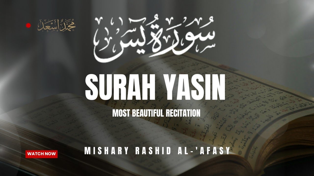 SURAH YASIN | MISHARY RASHID AL-'AFASY