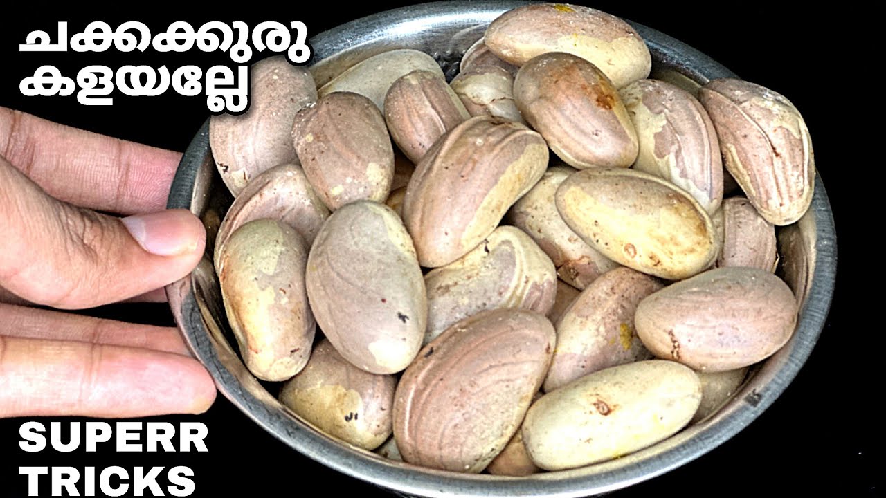 ചക്കക്കുരു ഇങ്ങനെ ചെയ്യൂ👌🏻എത്ര കഴിച്ചാലും കൊതി മാറില്ലാ
