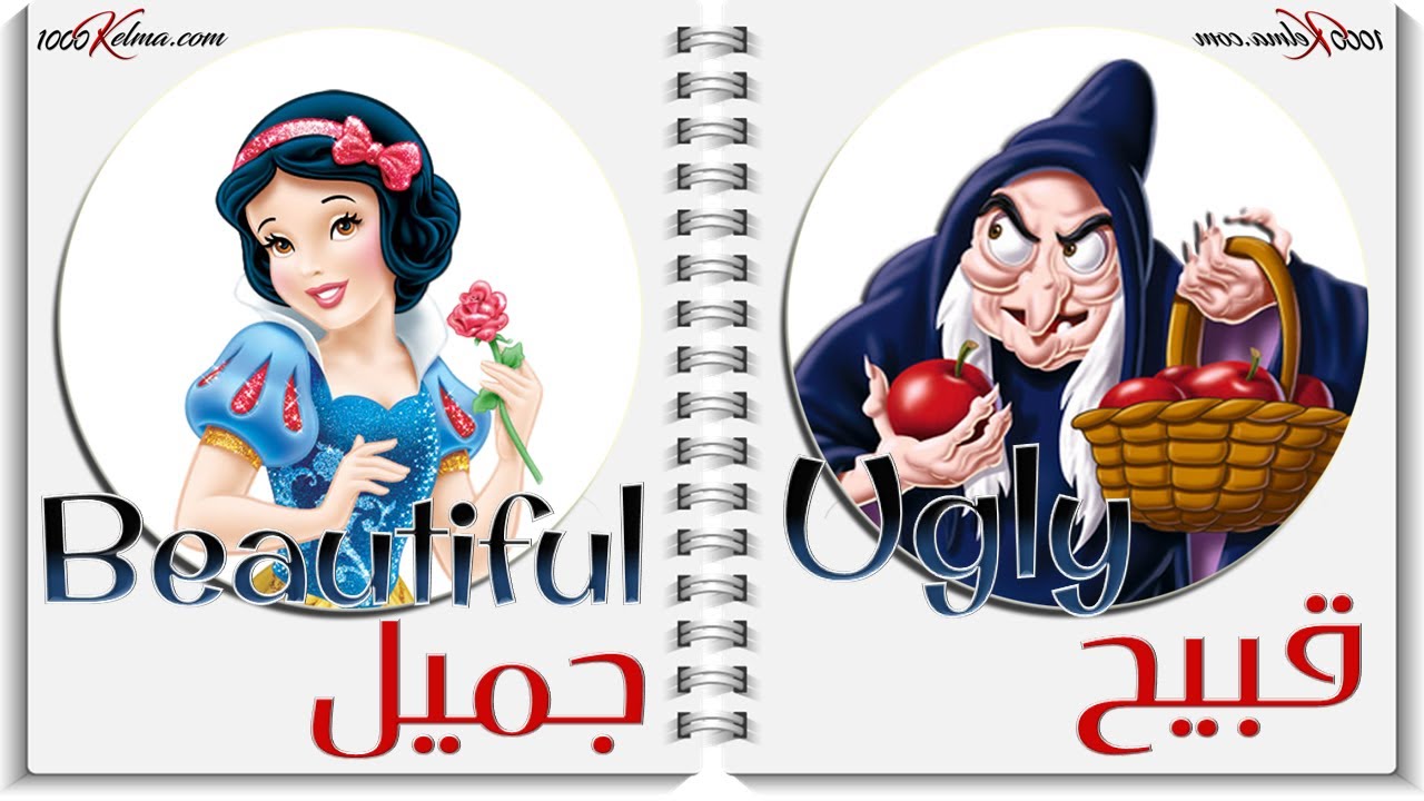 الصفات و عكسها  / 1 || عربي/انجليزي  || Adjectives / Opposites || صوت وصورة || 1000 كلمة انجليزي