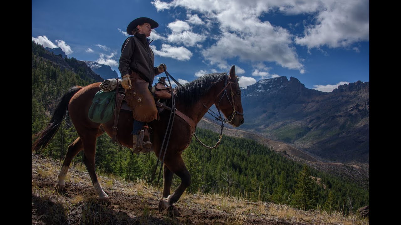Лучшее шоу на ТВ — полный эпизод Today's Wild West!