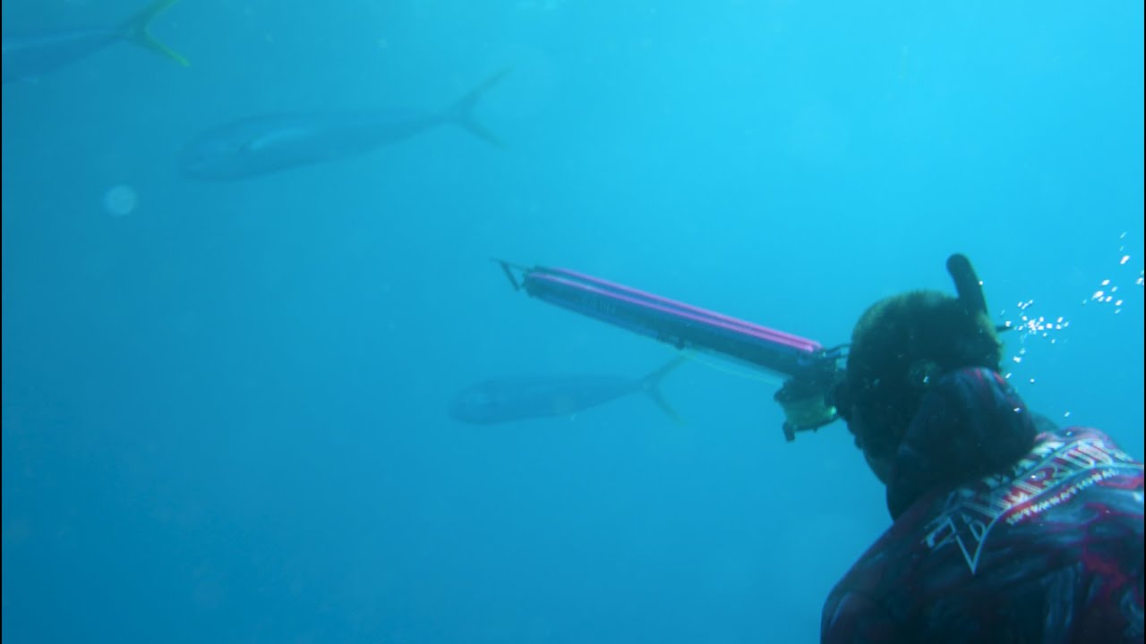 Spearfishing Mahi Mahi | Byron Bay