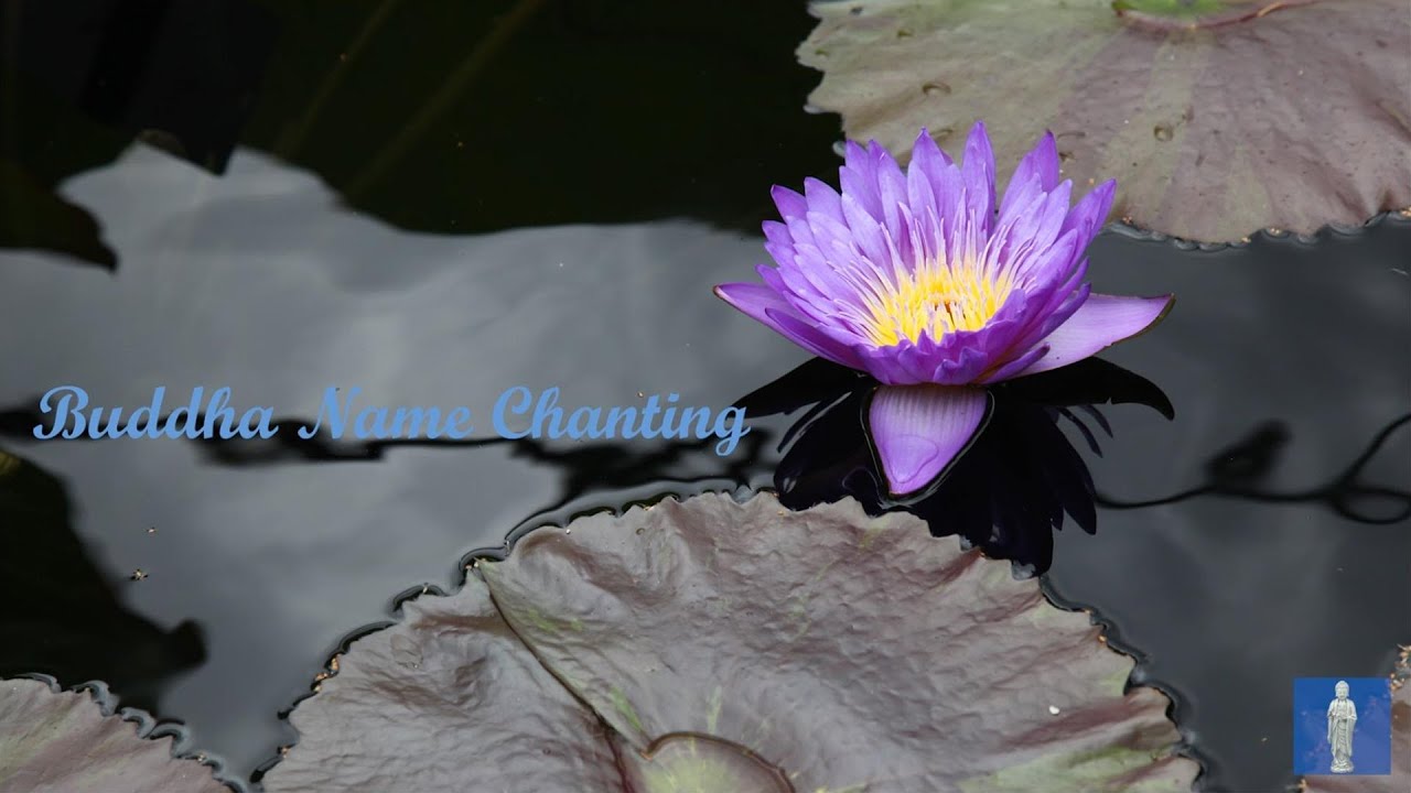 Amitabha Chanting (10 min Mindfulness)