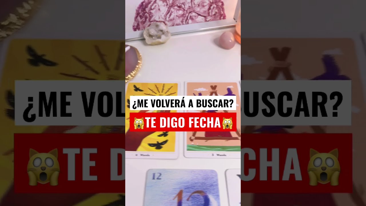 ME VOLVER&Aacute; A BUSCAR 👀 ‼️🙀 TE DIGO FECHA 🙀‼️