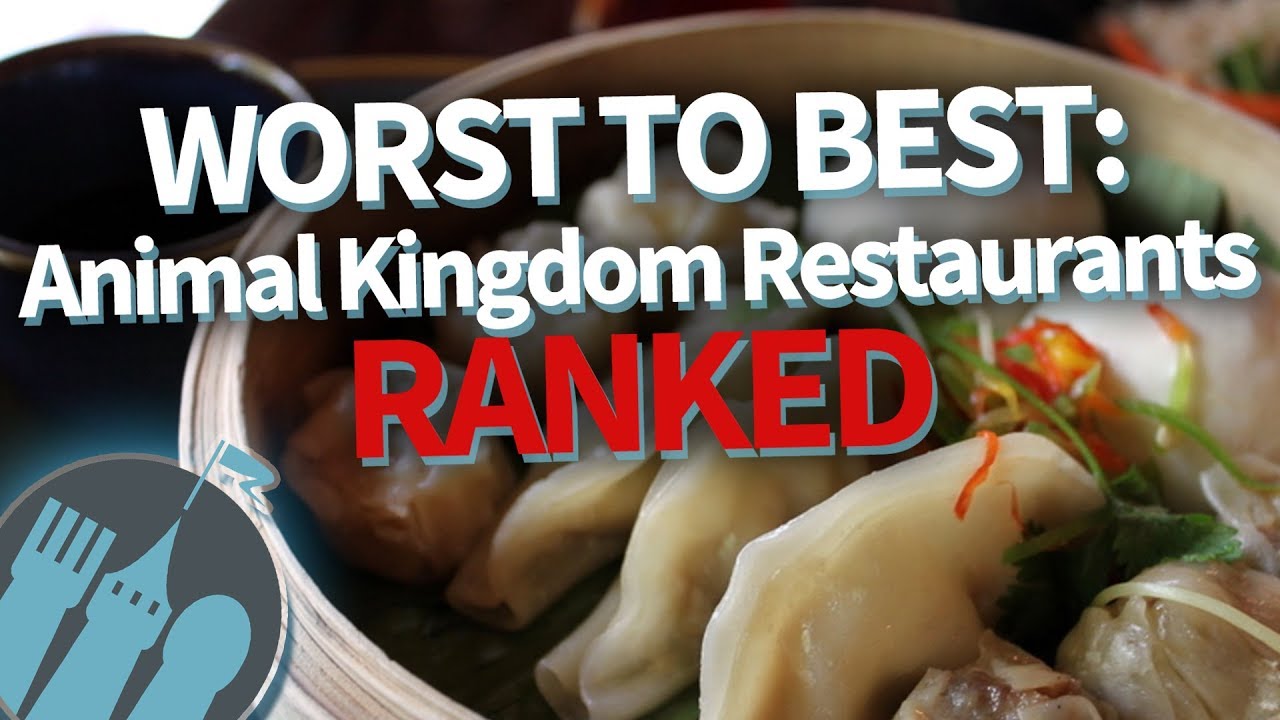 WORST TO BEST!: Disney World Animal Kingdom Restaurants RANKED!