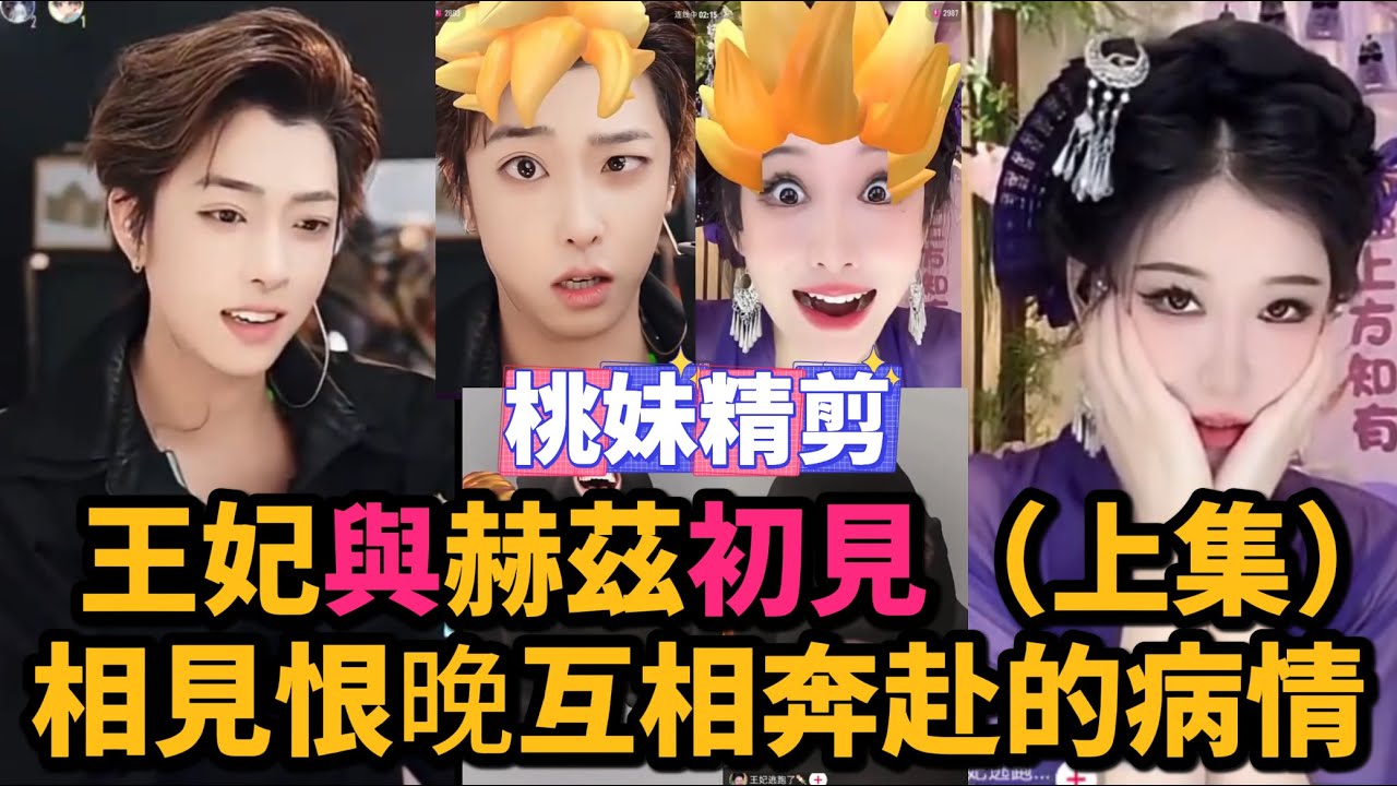 【元宇宙支線39集】補番王妃與赫茲初見（上集），相見恨晚相互奔赴的病情，互相表白+不處XD/【DY開心元元的好友】【DY王妃逃跑了】【DY赫茲】切片/
