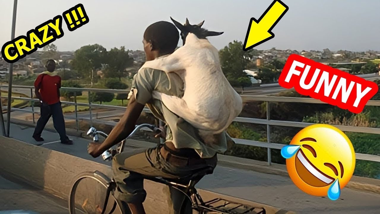 Try Not To Laugh Challenge 😂 ▶️ LEVEL 65 | Instant Regret Fails Compilation 2025