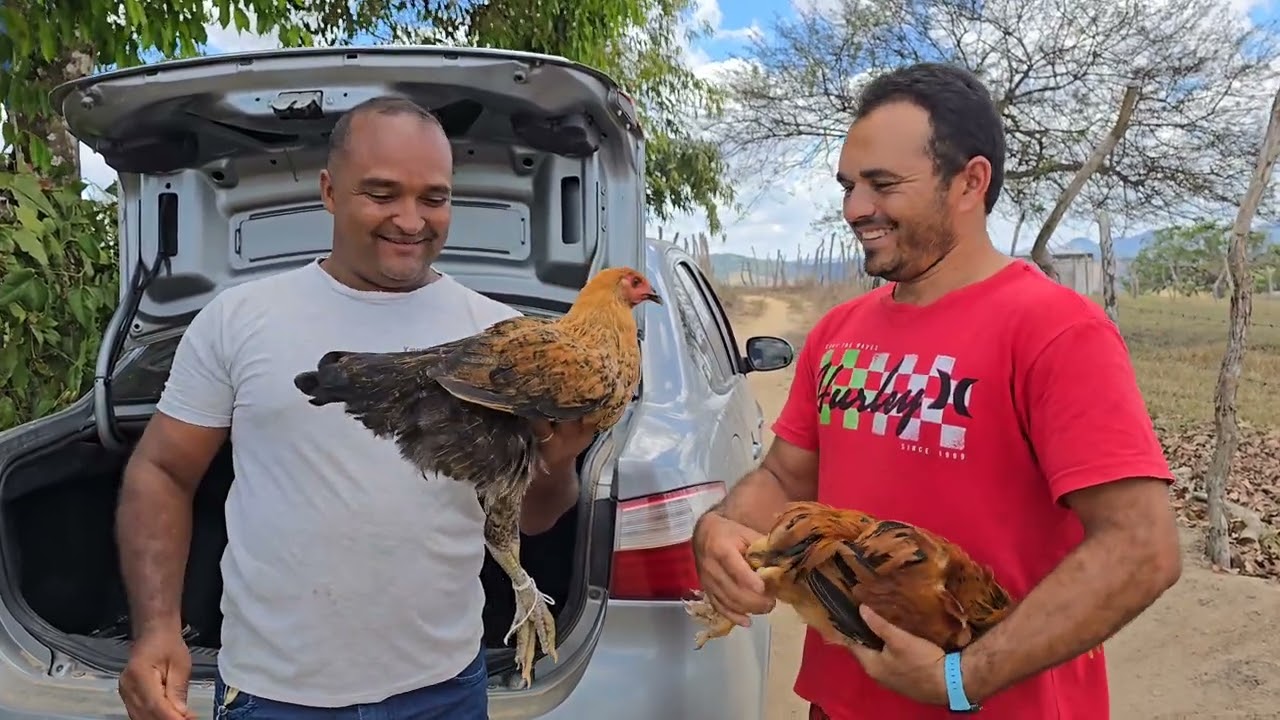 LEVEI UM PRESENTE PRA MEU AMIGO EDVALDO E VISITAMOS A CRIAÇÃO DE PEIXE DO SEU IRMÃO E TEVE ATÉ FRITO