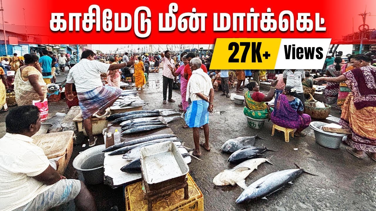 Famous Kasimedu Fish Market in Chennai | Kasimedu Speed Selvam is Cutting a 20 kg Fish | Fabeey