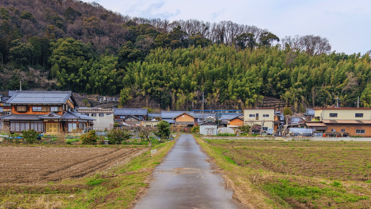 Afternoon Walk around Rural Village, Wetlands, and Fields | Omihachiman, Japan 4K