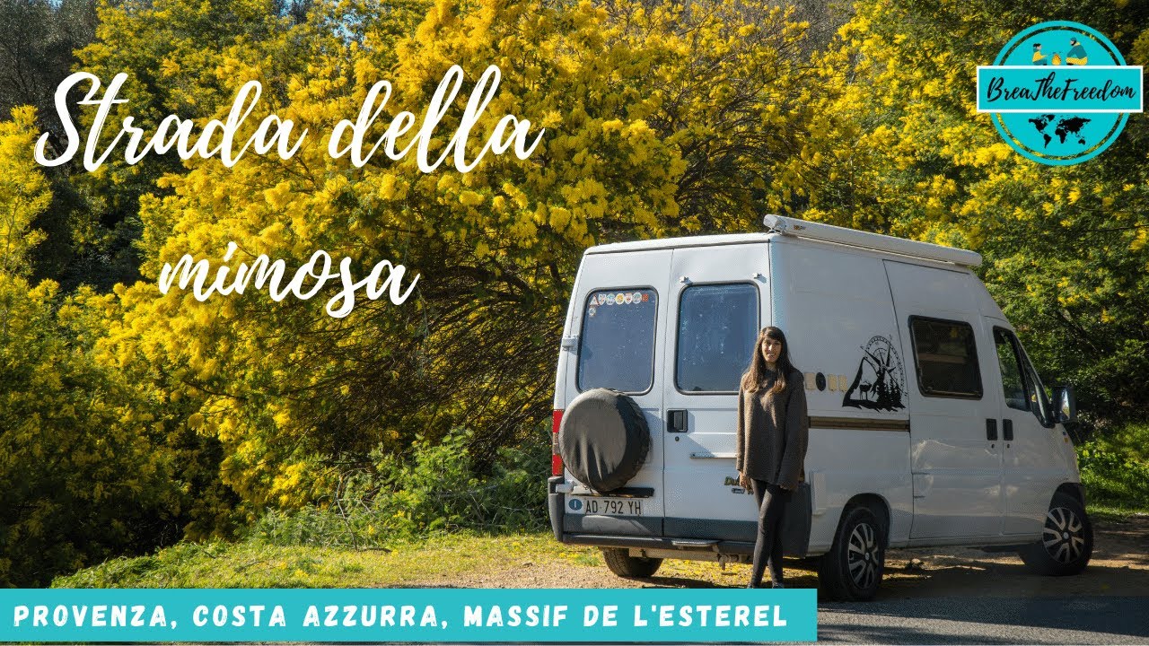 Strada della mimosa e trekking sul Massiccio dell'Esterel * Provenza e Costa Azzurra in camper