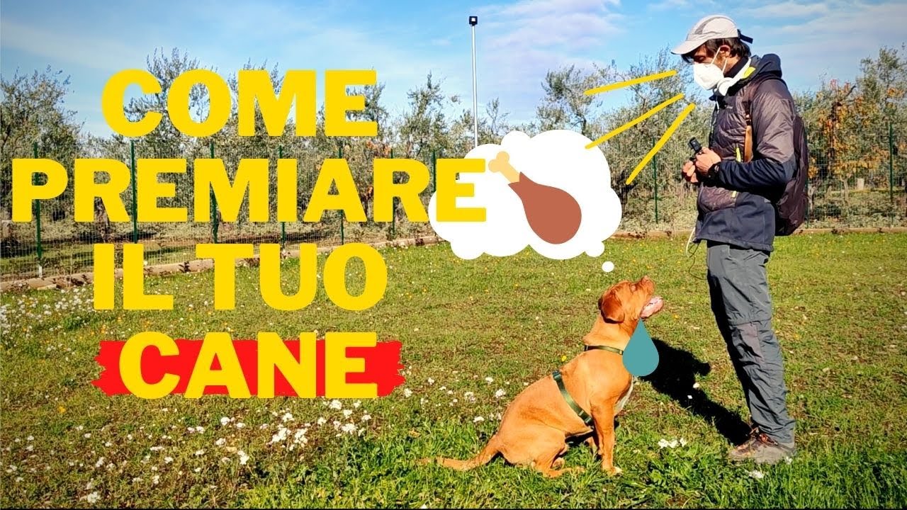 Come PREMIARE il CANE! - Lezione 0