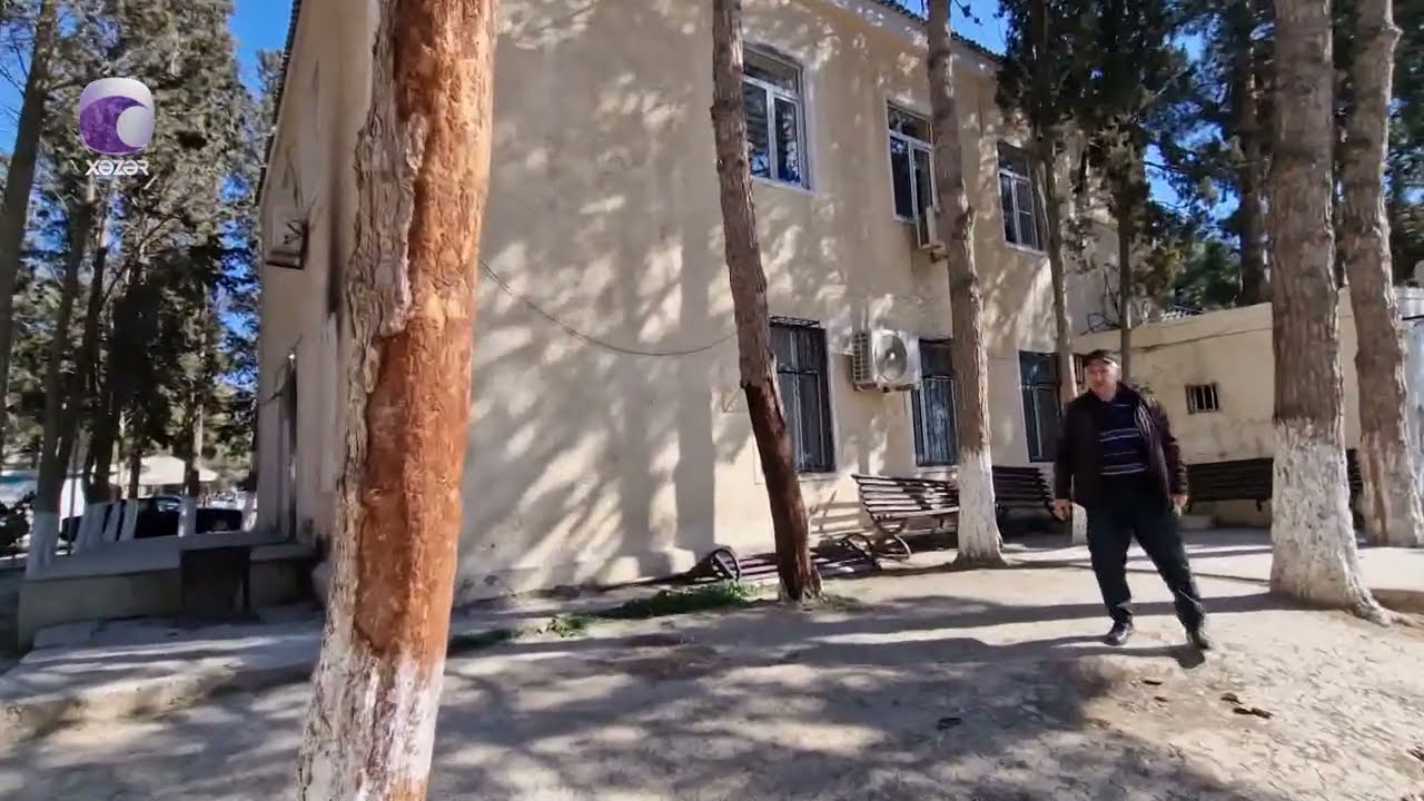 Bu parkda 20-yə yaxın ağacın aşma təhlükəsi var