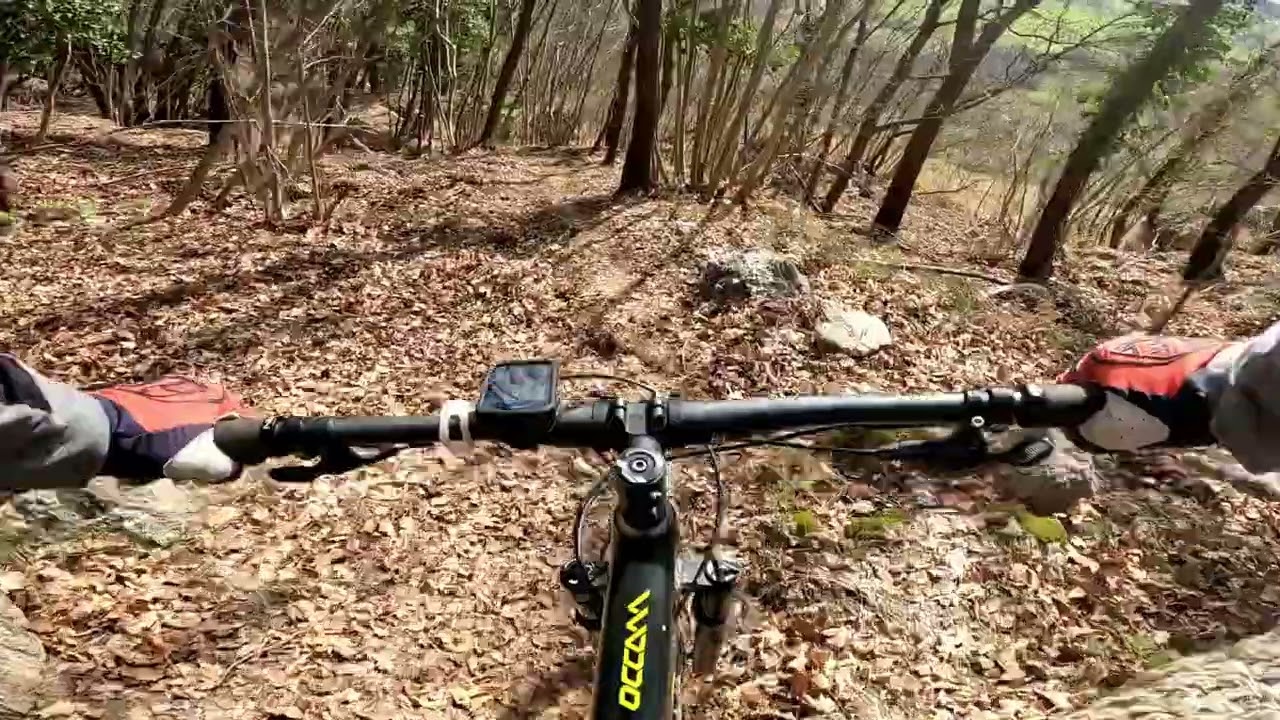 Lucerna Trail-Monte mauro(Riolo Terme RA)