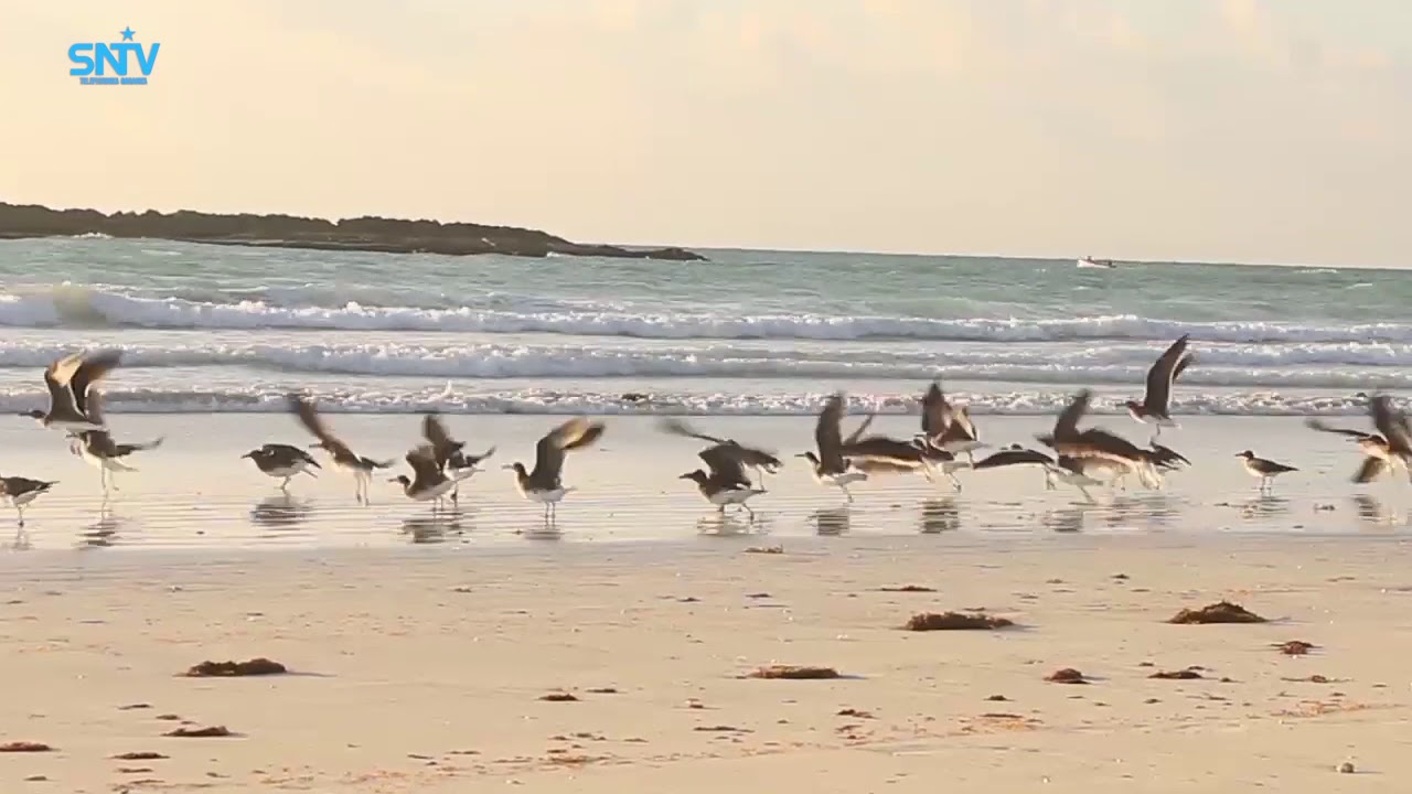 MUUQAALKA MAANTA EE XEEBTA MAGAALADA HOBYO EE GOBOLKA MUDUG.