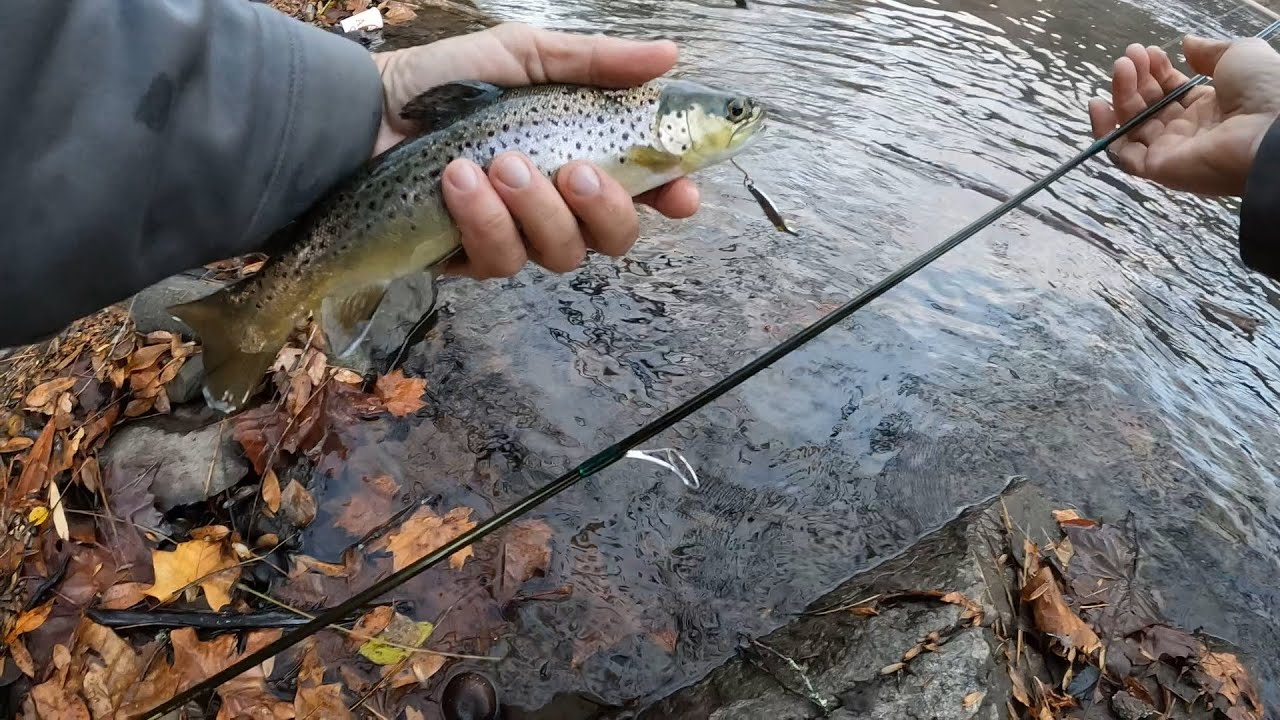 My Favorite Trout Lure You Probably HAVEN’T Used for Trout