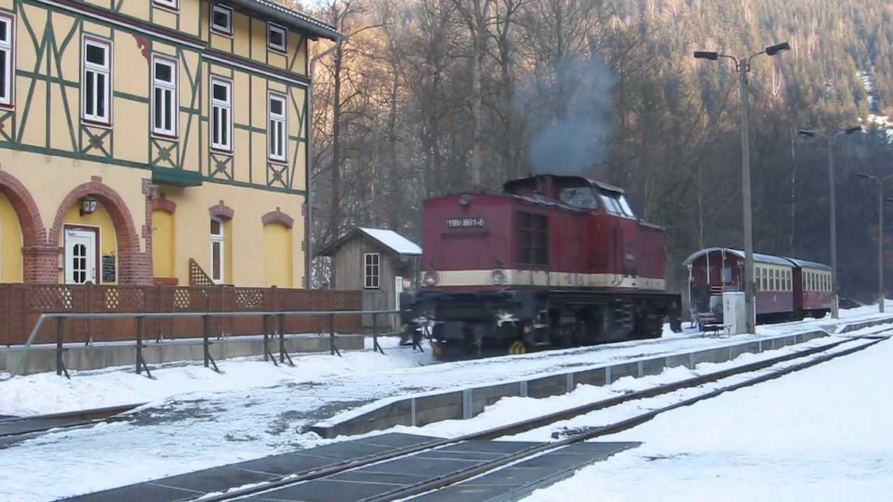 Ein Harzkamel unterwegs zwischen Benneckenstein und Eisfelder Talmühle