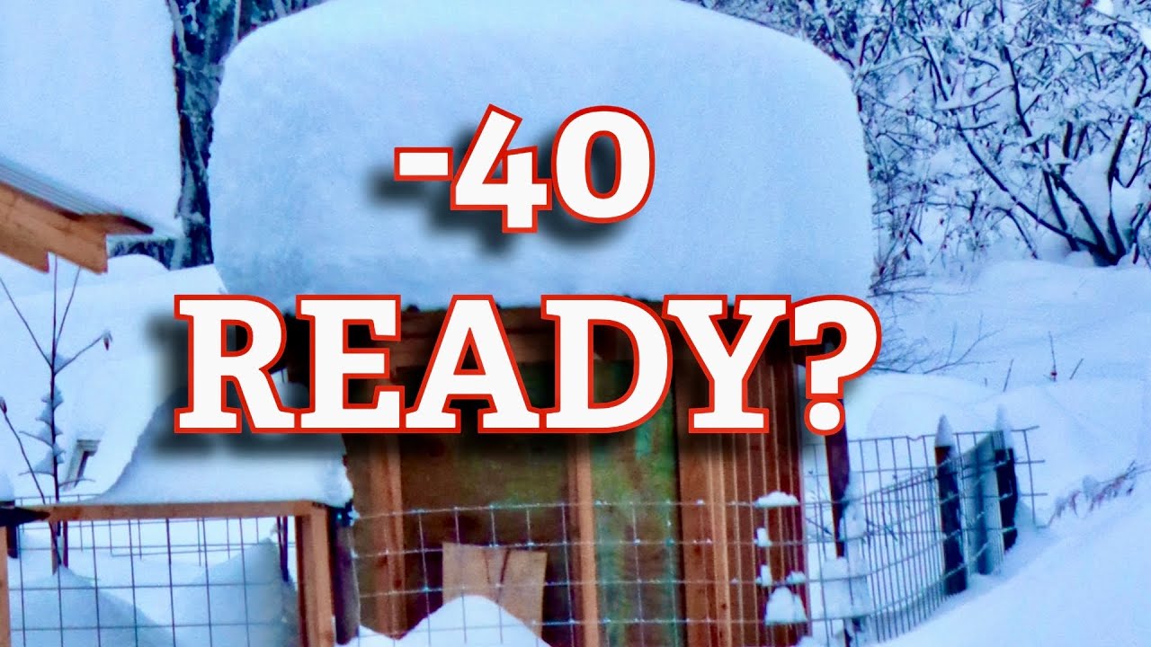 We Built an Alaska-Proof Chicken Coop