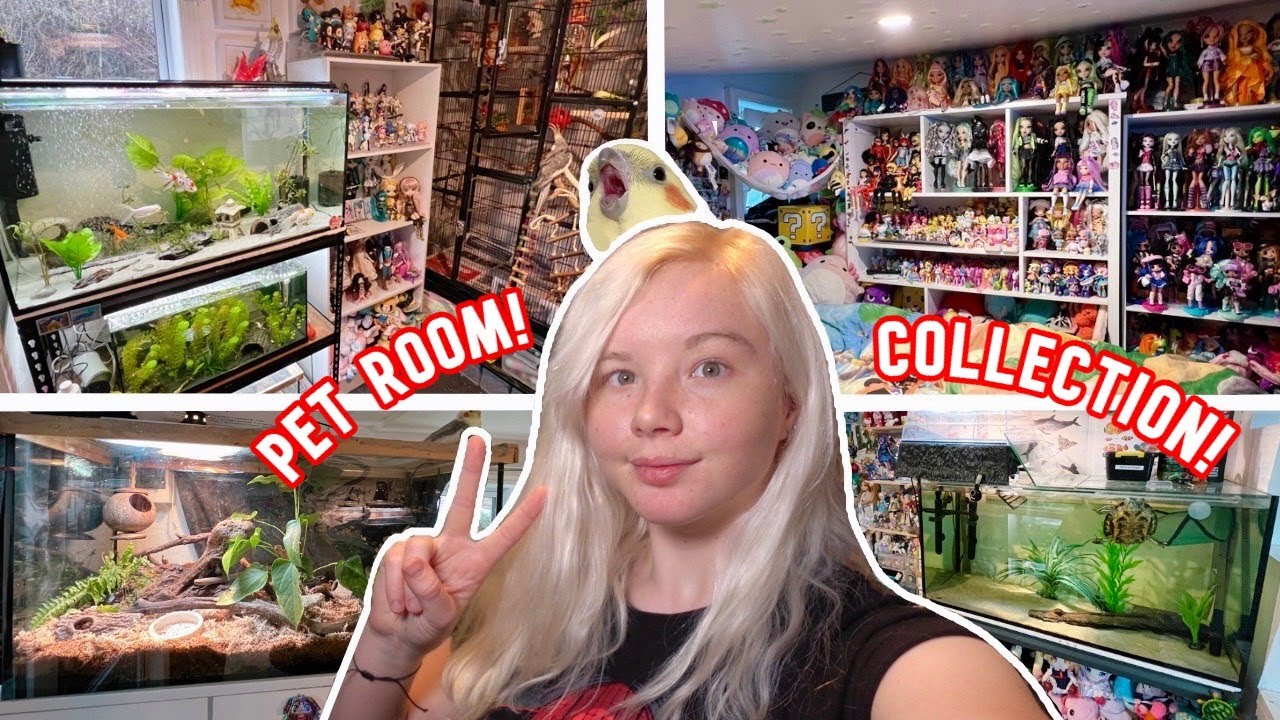MY ANIMAL ROOM AND COLLECTION ROOM TOUR!