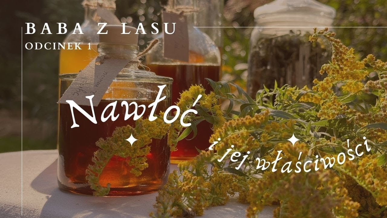 Jak wykorzystać inwazyjną nawłoć? [Baba z lasu e01]